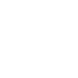 Gonzo – X